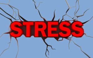 stress-300x188